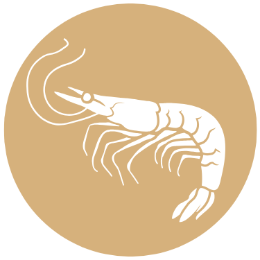 Seafood Icon